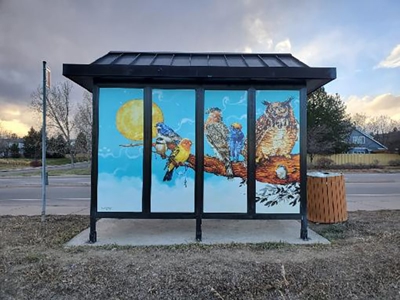 window vinyl Photo